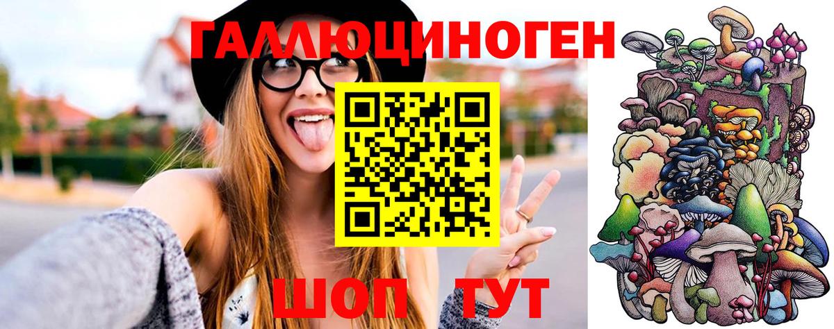 Псилоцибиновые грибы GOLDEN TEACHER  Вход с VPN  Каменка 